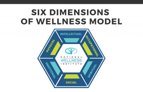 NWI Six Dimensions of Wellness Model